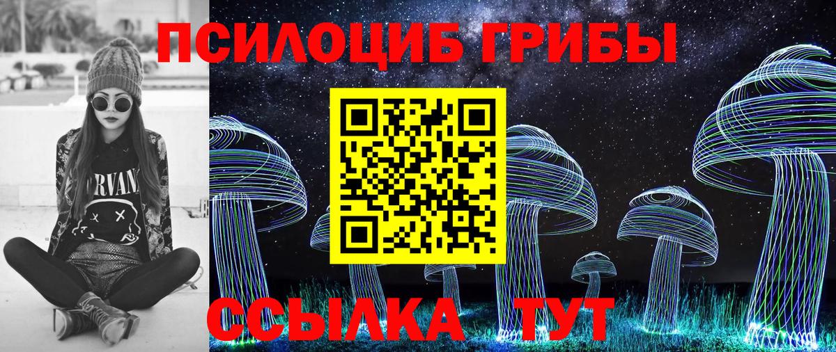 Галлюциногенные грибы Magic Shrooms Дмитров